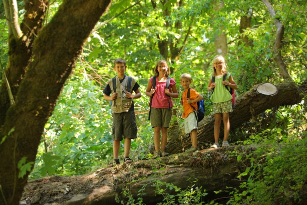 Schulgruppe beim Wandern im Salzburger Land